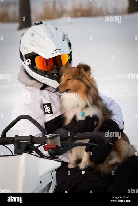 snowmobile with dog on lap